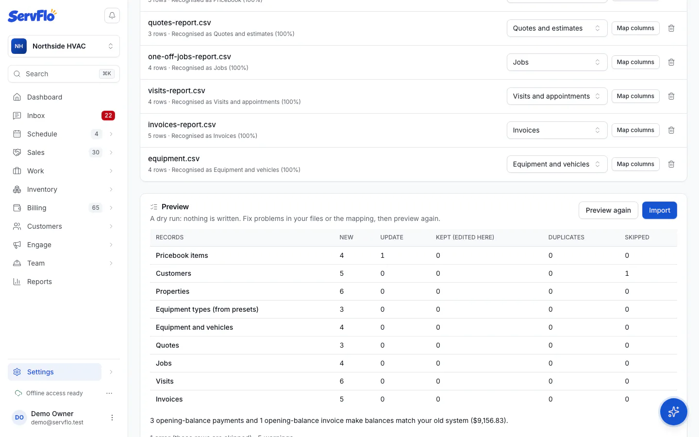 The import preview with counts per record type and the problems list
